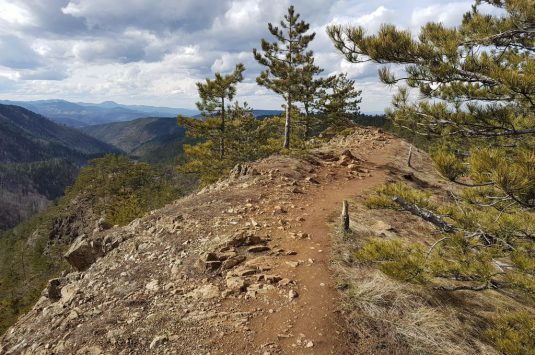 LJuti krš Divčibare