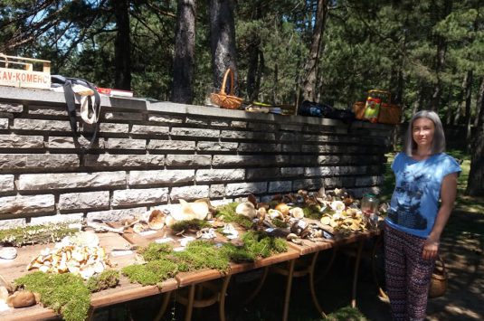 Održani Dani gljiva na Divčibarama